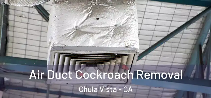 Air Duct Cockroach Removal Chula Vista - CA