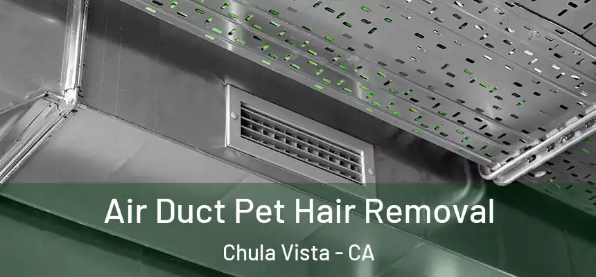 Air Duct Pet Hair Removal Chula Vista - CA