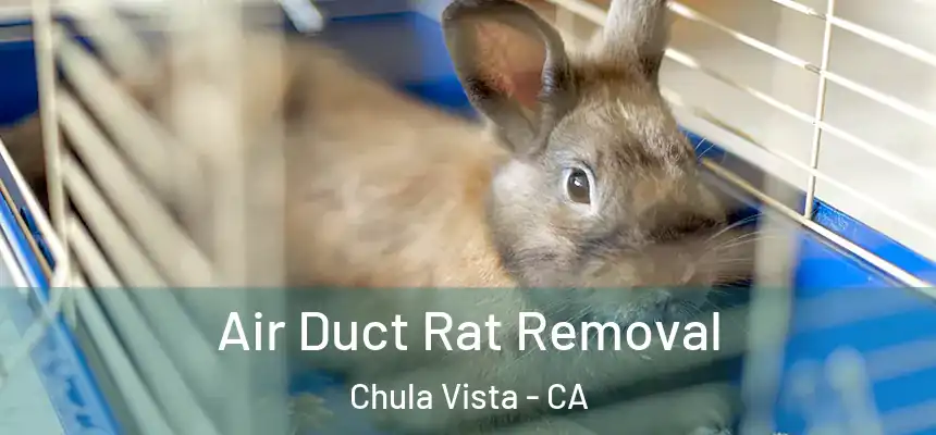 Air Duct Rat Removal Chula Vista - CA