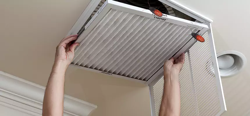 Our Insect Removal from Air Ducts Services in Chula Vista, CA