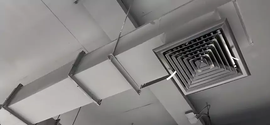 Our Rodent Droppings In Vents Services in Chula Vista, CA