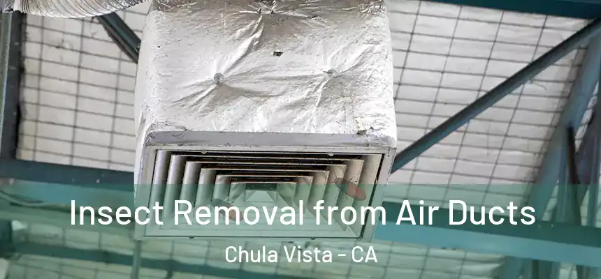 Insect Removal from Air Ducts Chula Vista - CA