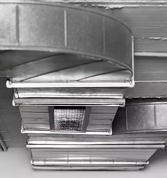 Professional Air Duct Pest Removal in Chula Vista, CA