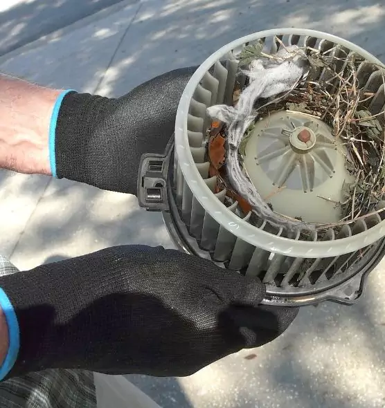 About Air Duct Rat Removal in Chula Vista, CA