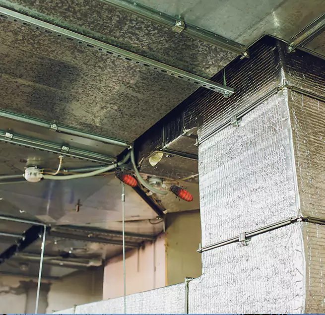 Why Homeowners & Businesses Trust Us in Chula Vista, CA?