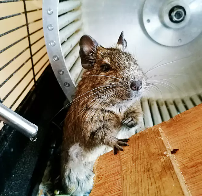 Why Homeowners & Businesses Trust Us Chula Vista, CA