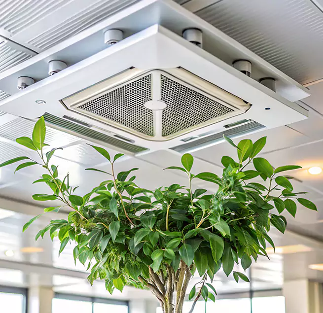 Why Homeowners & Businesses Trust Us in Chula Vista, CA?