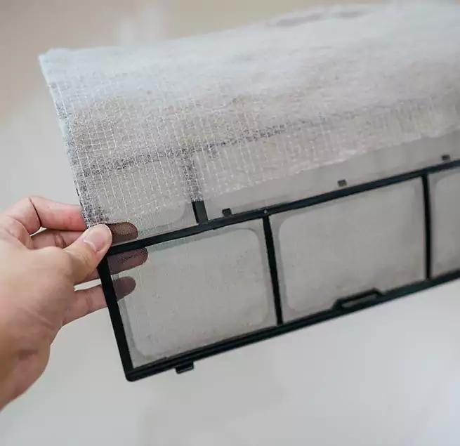 Why Homeowners & Businesses Trust Us in Chula Vista, CA?