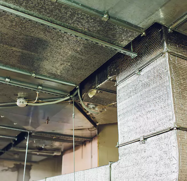 Why Homeowners & Businesses Trust Us in Chula Vista, CA?